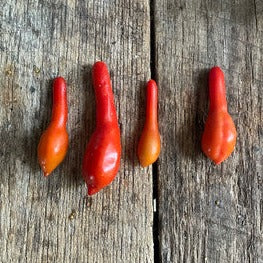 Bowling pin heirloom tomato seeds