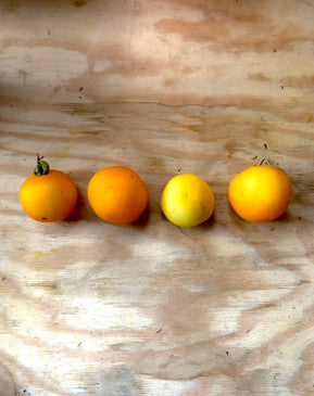 Hermanos peach tomato heirloom seed