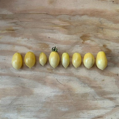 Barry’s crazy cherry tomato seeds