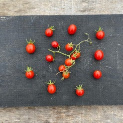 Tess's Land Race Currant Tomato Seeds