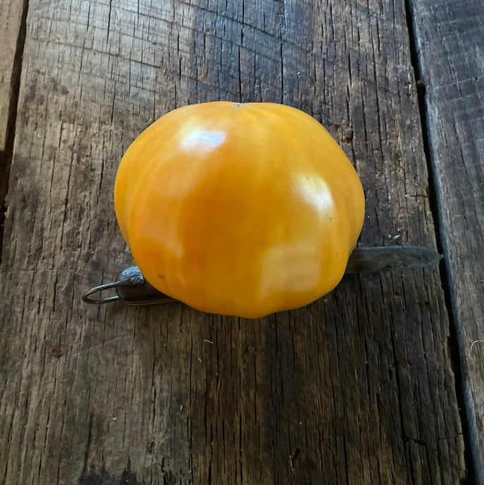 Barnes mountain yellow tomato seeds