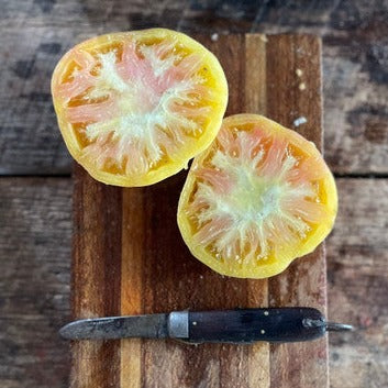 Big White Pink Stripes heirloom tomato seed