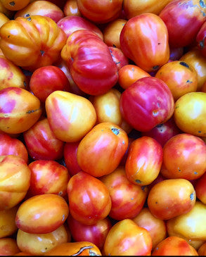 Polish pastel tomato seed