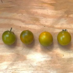 Green Grape heirloom tomato seeds