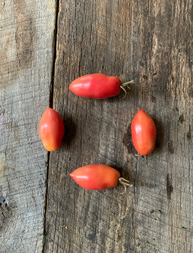 Pink icicle heirloom tomato seeds