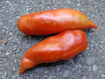 London Grove heirloom tomato seed