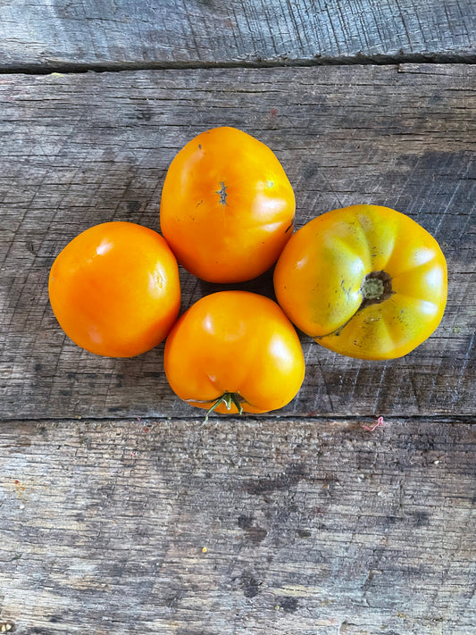 Yellow Brandywine Heirloom Tomato Seeds