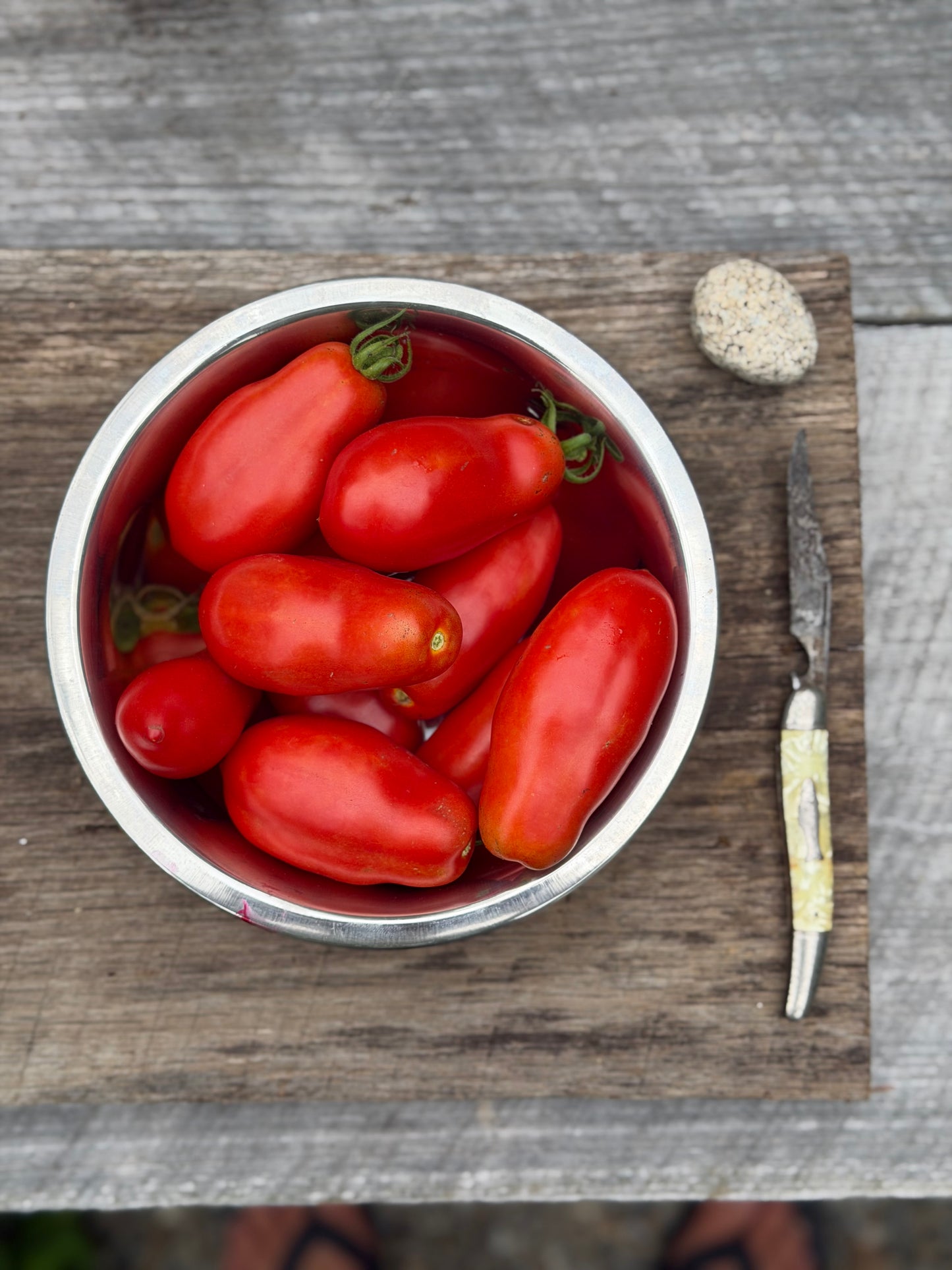 Ten fingers of Naples tomato seed