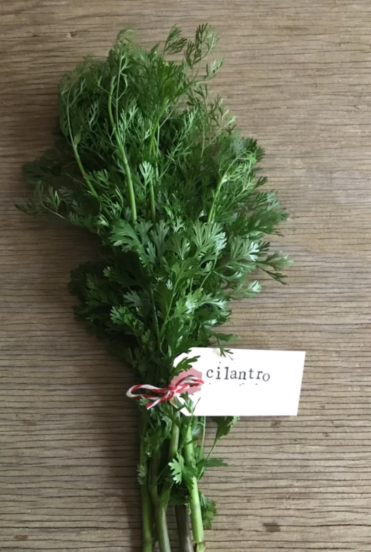 Late Winter/ Early Spring Greens Collection