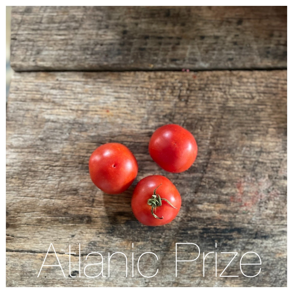 The Americana Heirloom Tomato Seed Collection