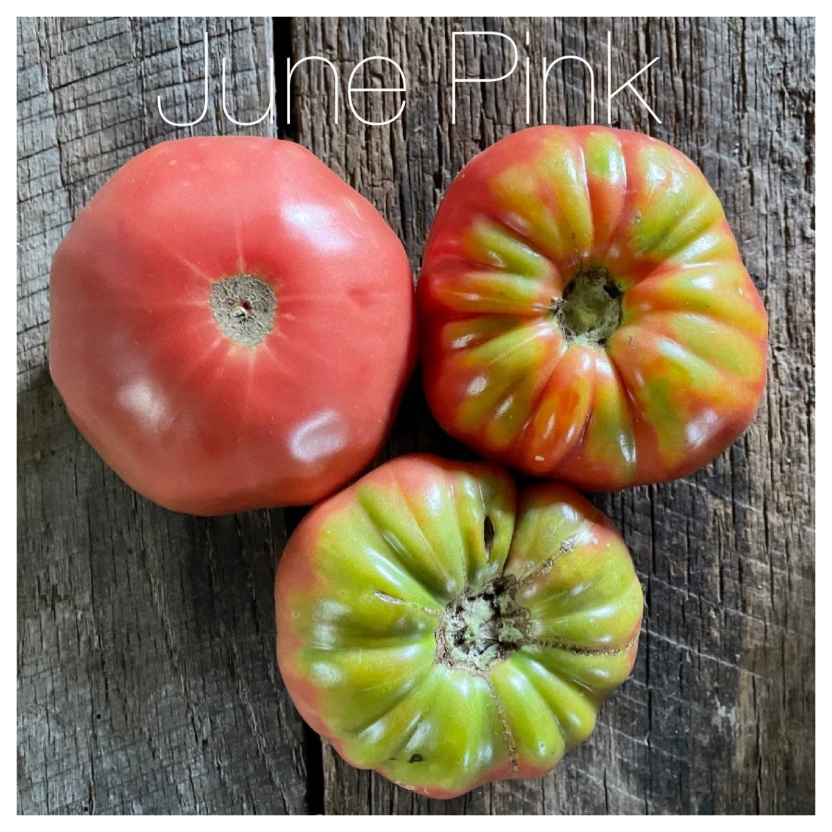 The Americana Heirloom Tomato Seed Collection