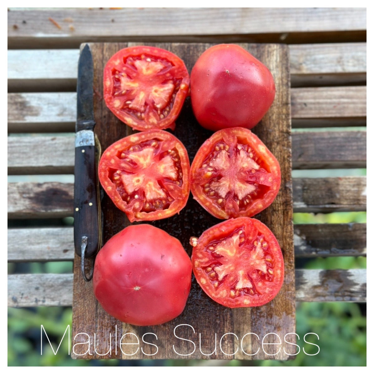The Americana Heirloom Tomato Seed Collection