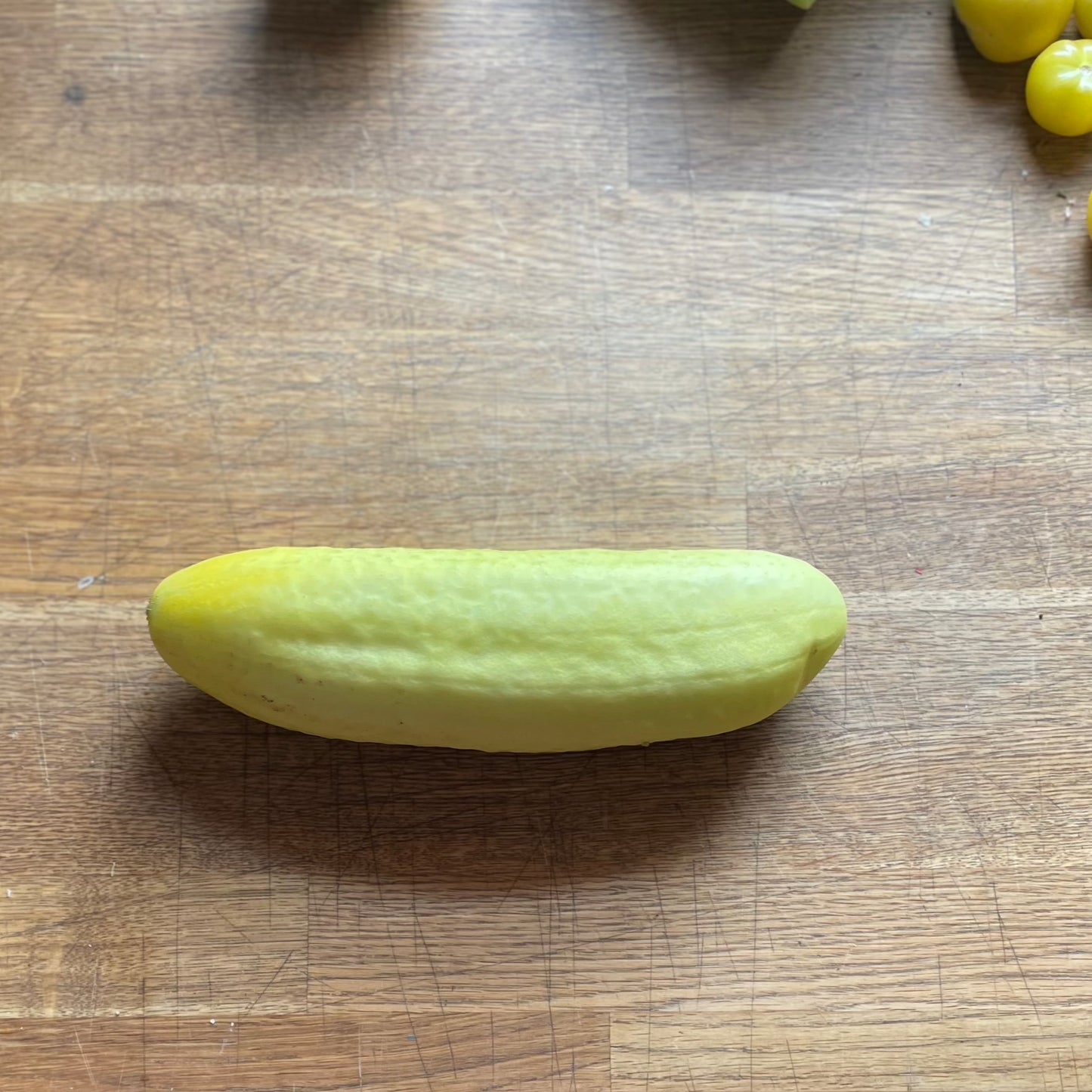 White Punjab Cucumber Seeds