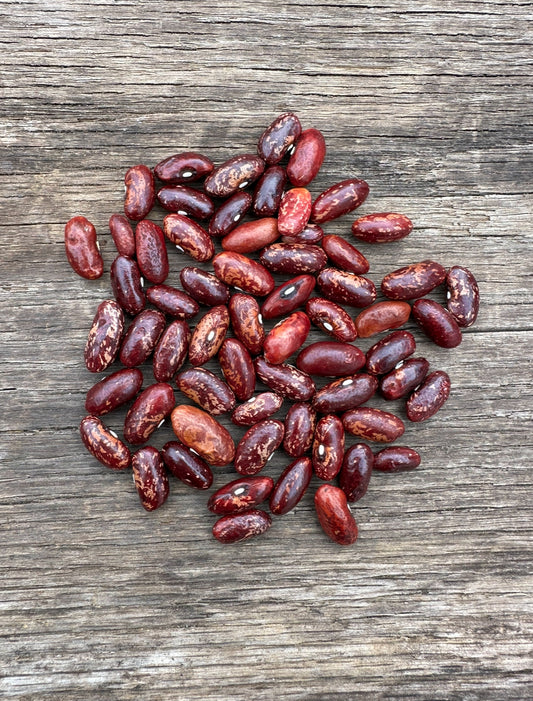 Haudenosaunee Corn Bread Bean