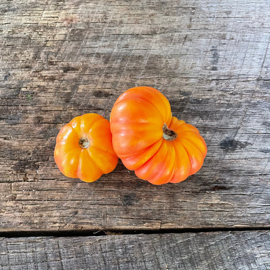 Old German heirloom tomato seeds
