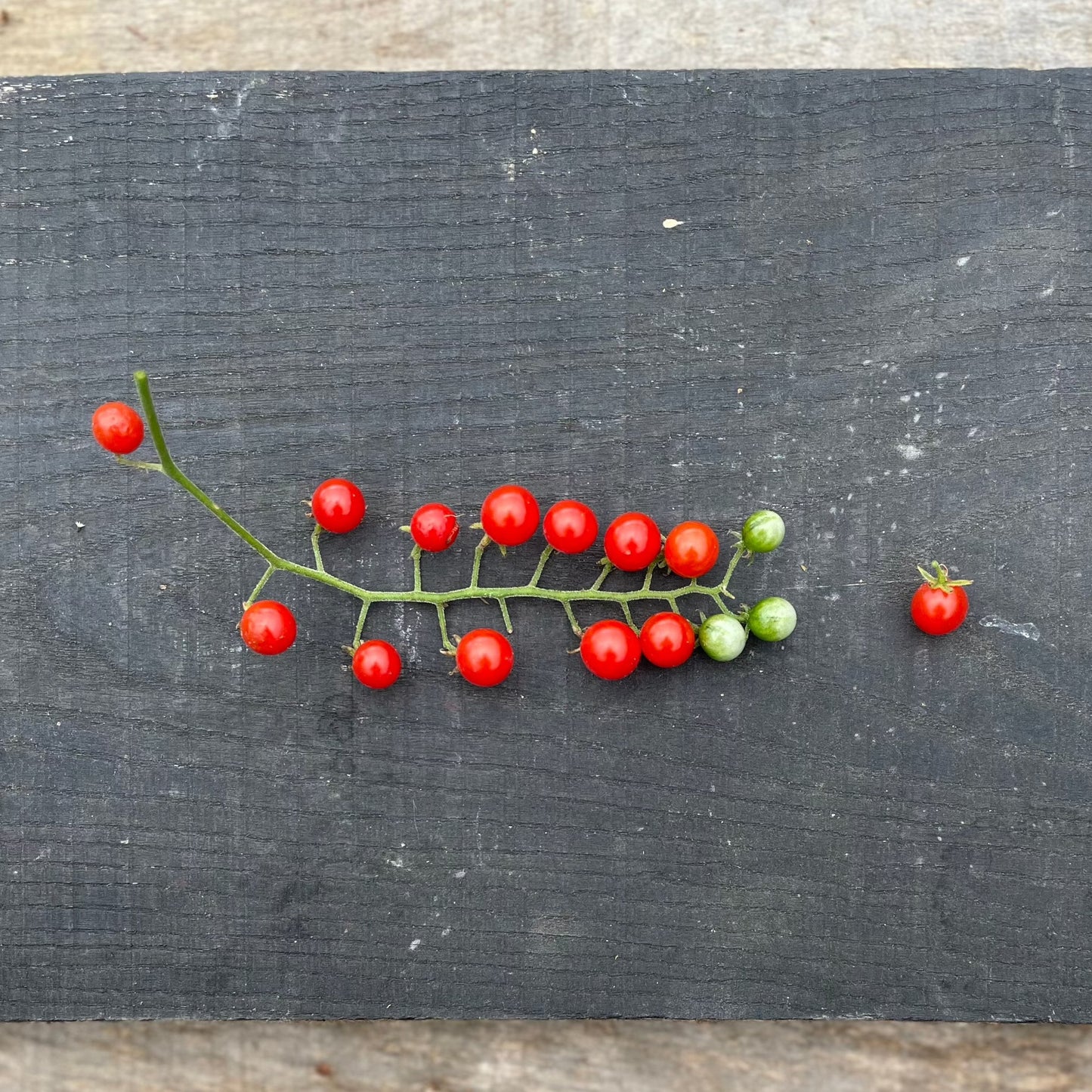 Spoon Heirloom Tomato Seeds