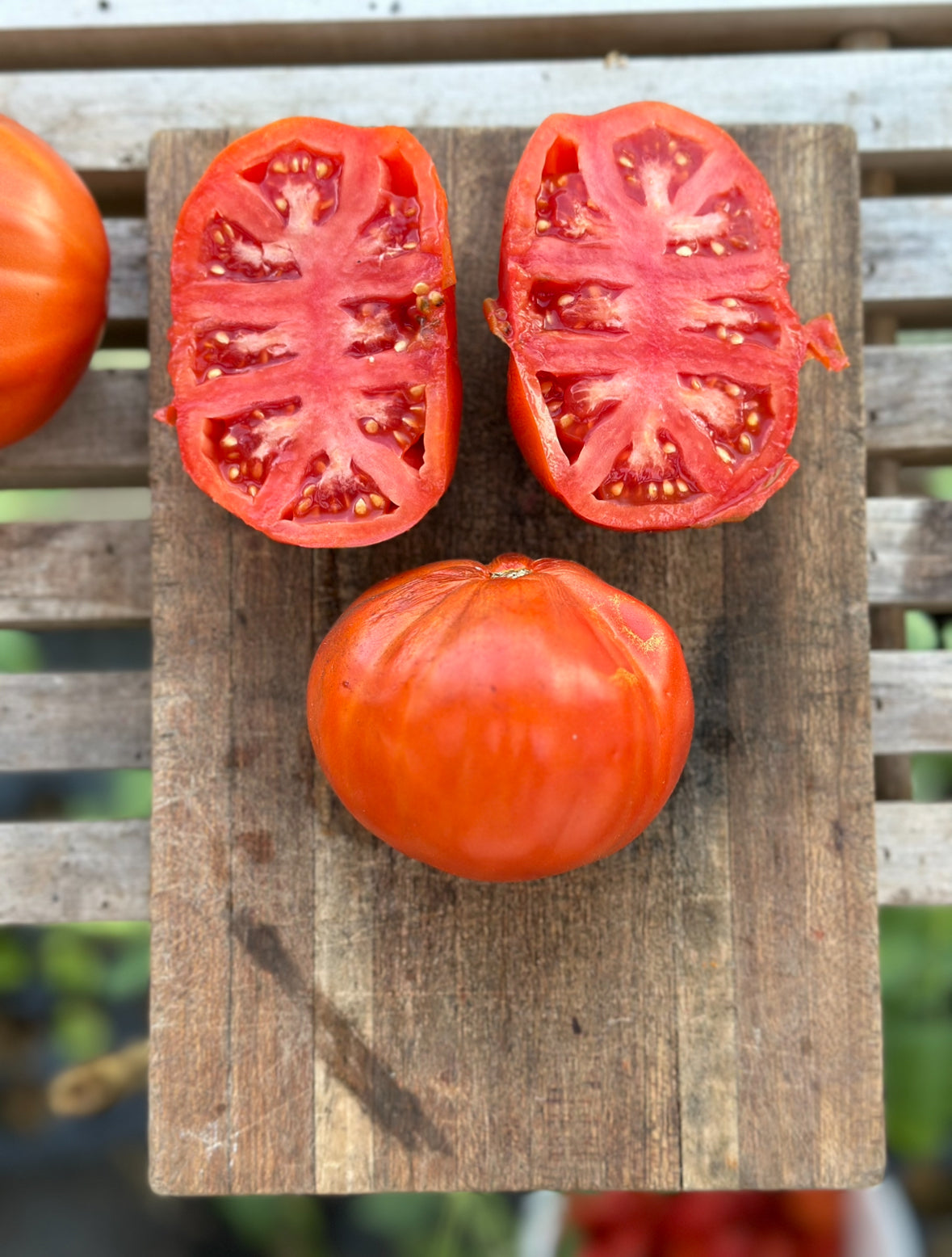 Italian heirloom tomato seed collection # 2