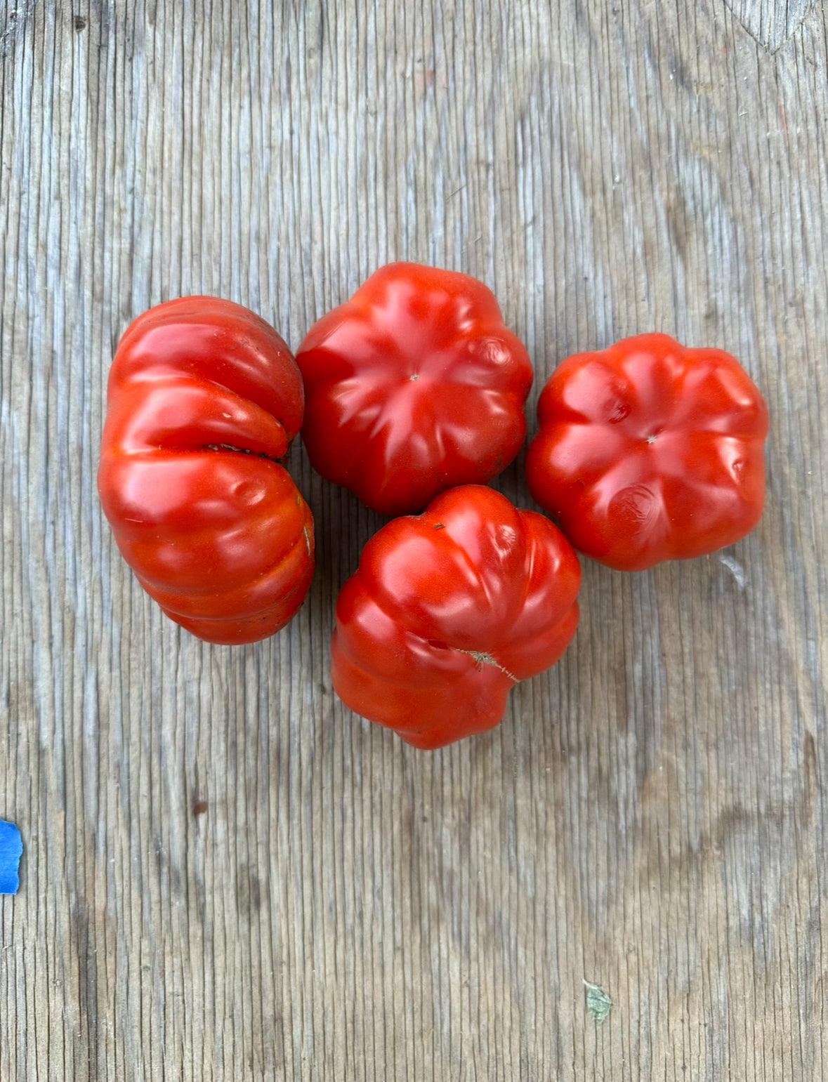 Italian heirloom tomato seed collection # 2