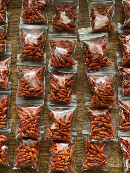 Dried Rat Turd Peppers