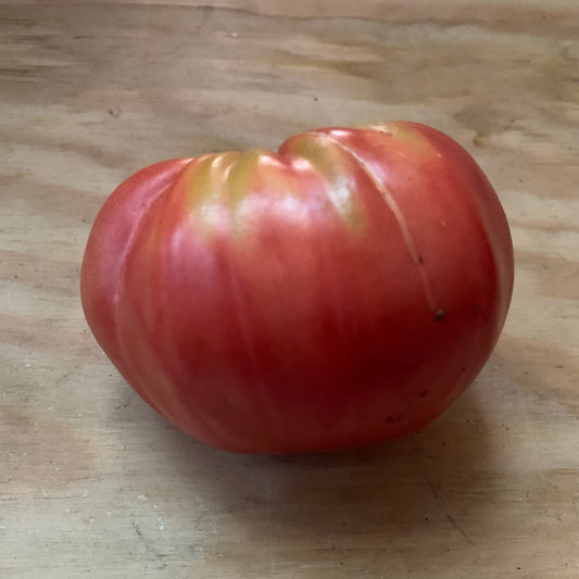 Hungarian Heart heirloom tomato seeds.