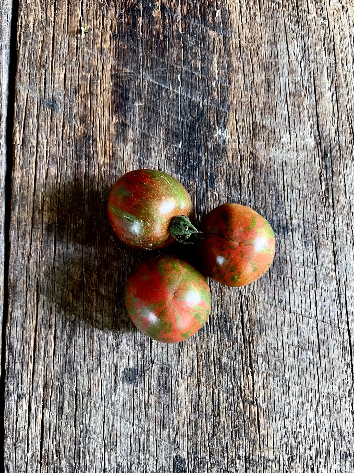 Violet Jasper Heirloom Tomato Seeds