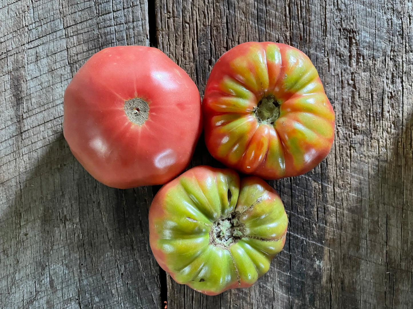 June Pink Heirloom Tomato Seeds