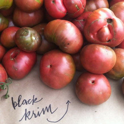 Black Krim heirloom tomato seeds