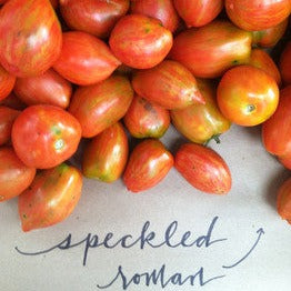 Speckled Roman