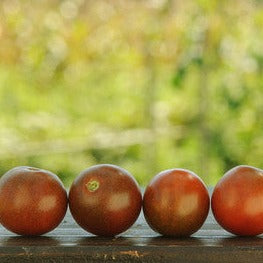 Brown Cherry Heirloom Tomato Seeds
