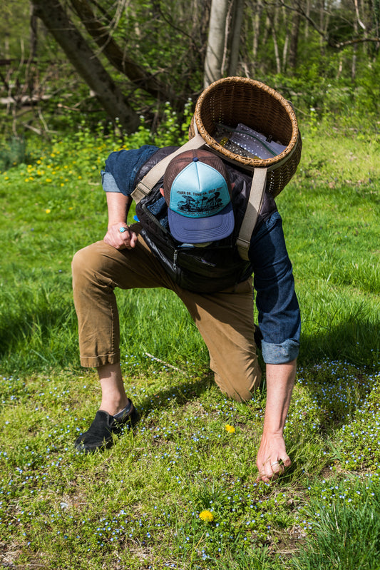 FORAGING SCHOOL 2025