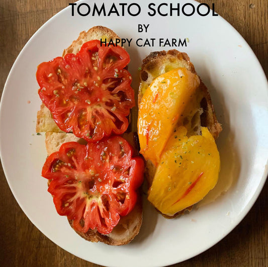 Tomato School 2023