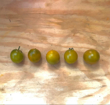 Emerald cherry Heirloom tomato seeds