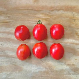 Porters improved heirloom tomato seeds