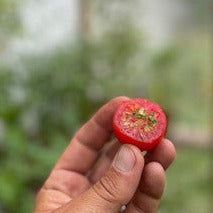 Chadwick Cherry heirloom tomato seeds