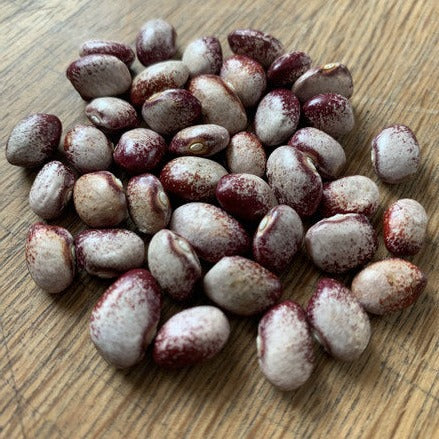 Amisn Nuttle Heirloom bean seeds