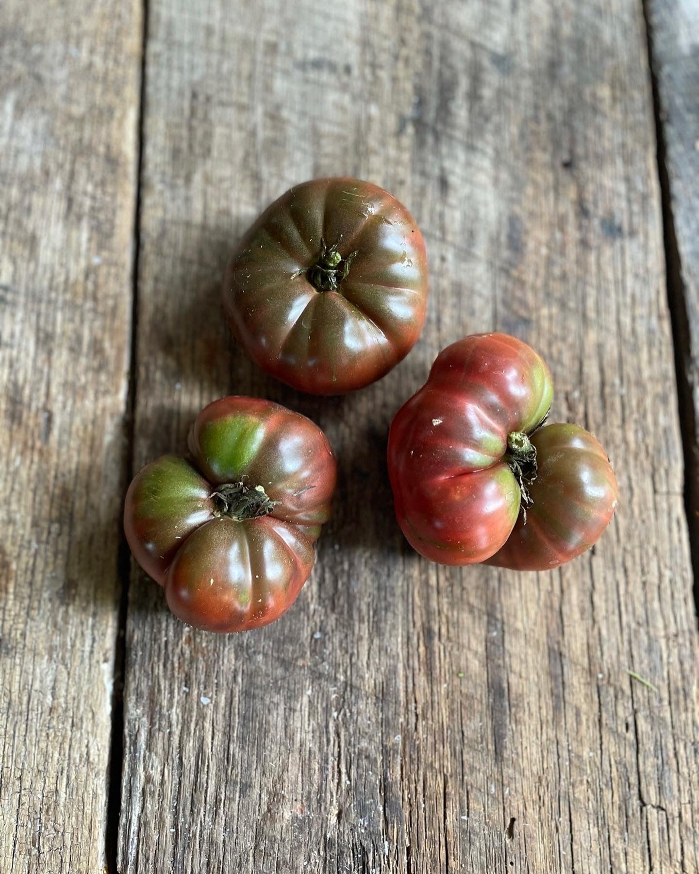 Tim’s Black Ruffles Heirloom Tomato Seeds – Happy Cat Farm