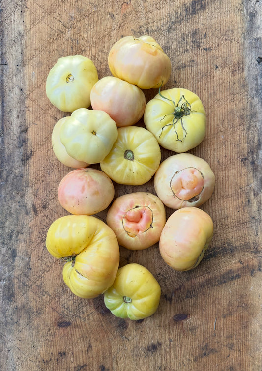 Etoile Blanche d’Anvers heirloom tomato seed