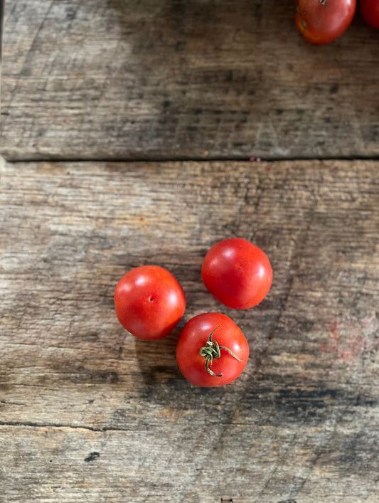 Ailsa Craig Heirloom Tomato Seeds