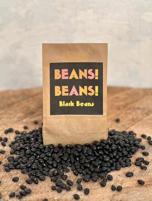 BEANS! BEANS! dried black beans