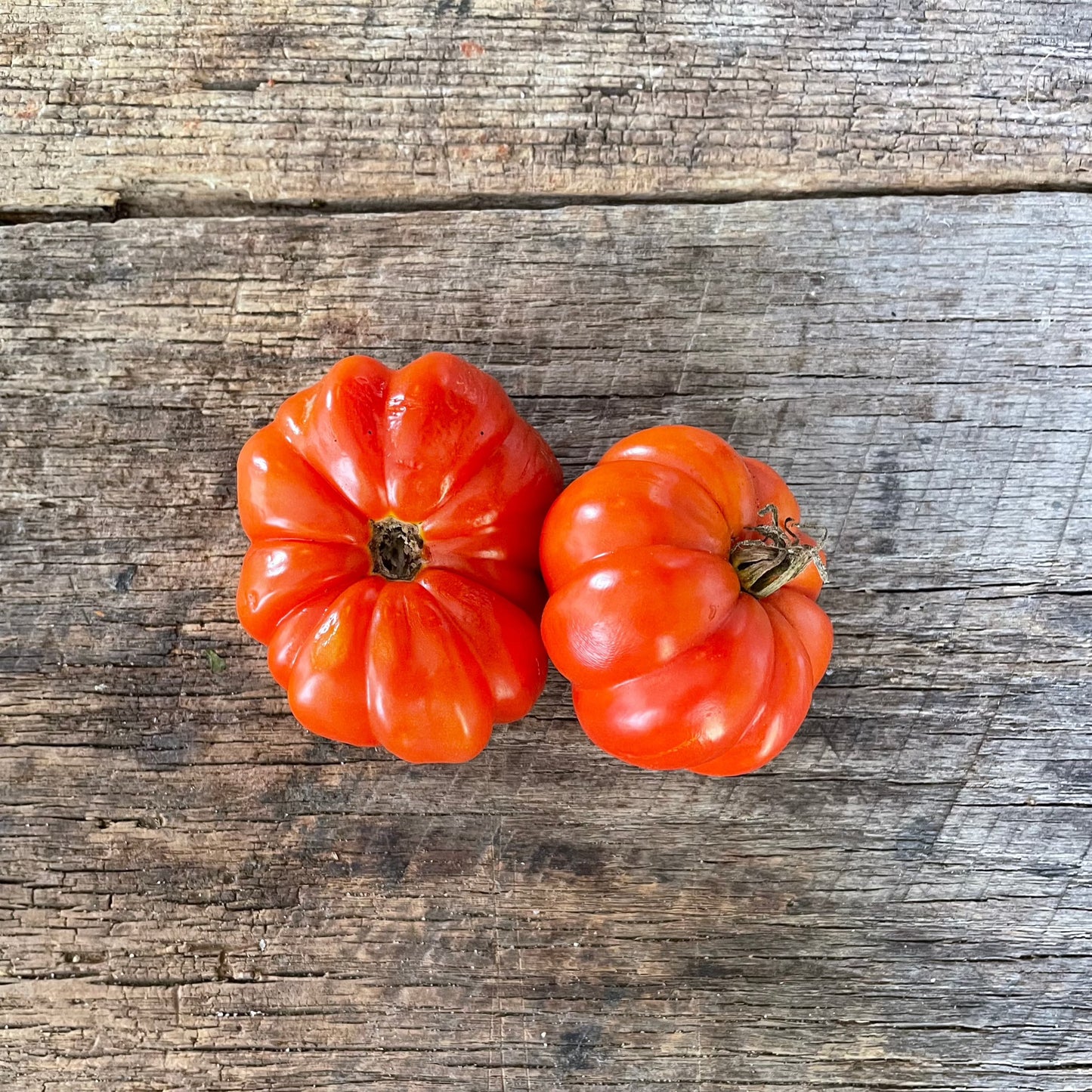 Marmande Heirloom Tomato Seeds