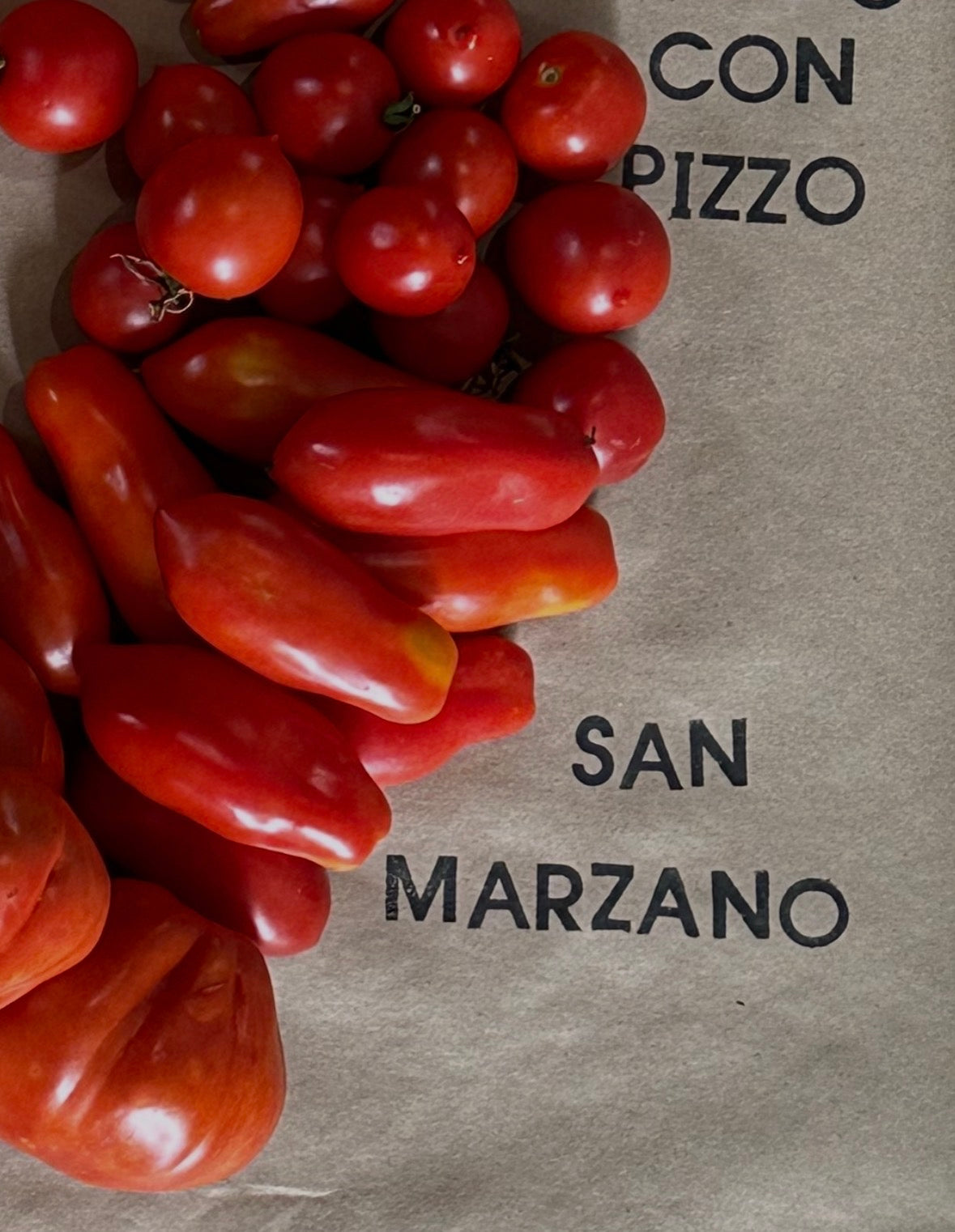 San Marzano Pomodoro Heirloom Seed