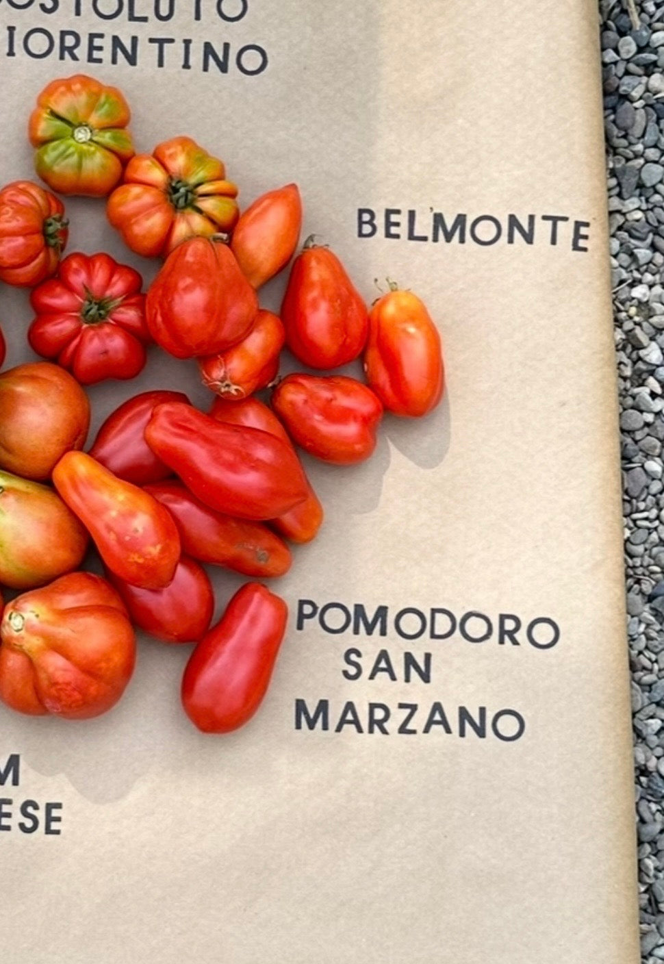 San Marzano Pomodoro Heirloom Seed