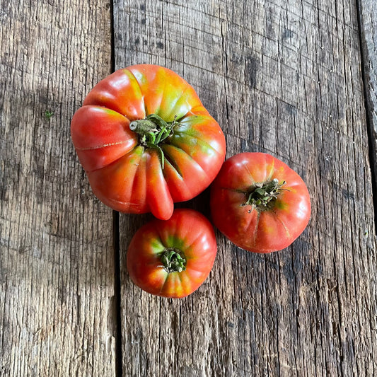 Lloyd E Frey Heirloom Tomato Seed
