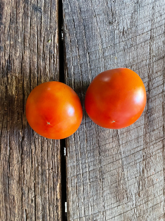 Valley Girl Heirloom Tomato Seeds