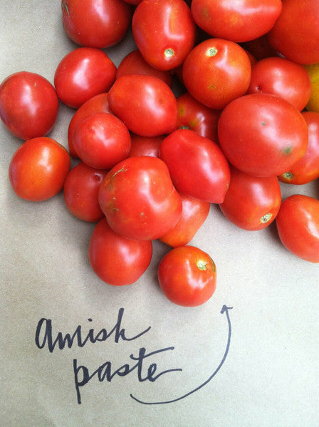 Amish Paste heirloom tomato seeds