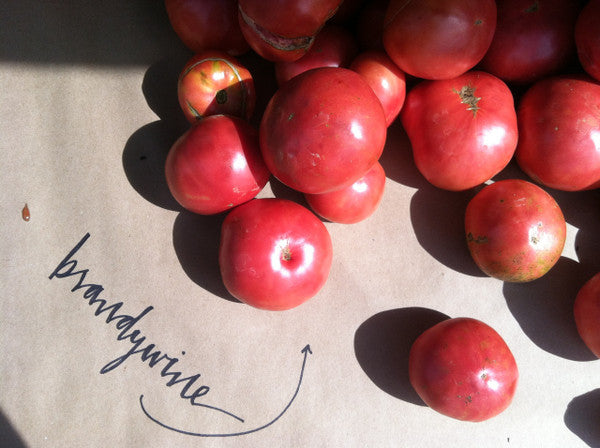 Brandywine Heirloom Tomato Seeds
