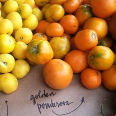 Golden Ponderosa Heirloom Tomato Seeds