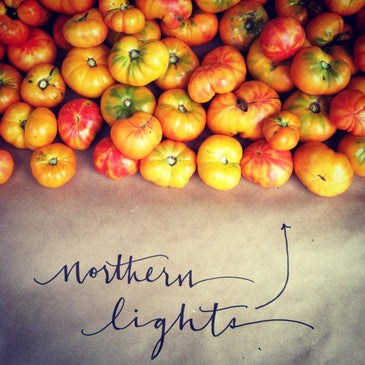 Northern Lights heirloom tomato seed