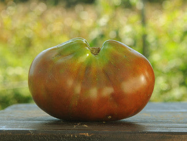 Japanese Black Trifele Heirloom Tomato Seeds