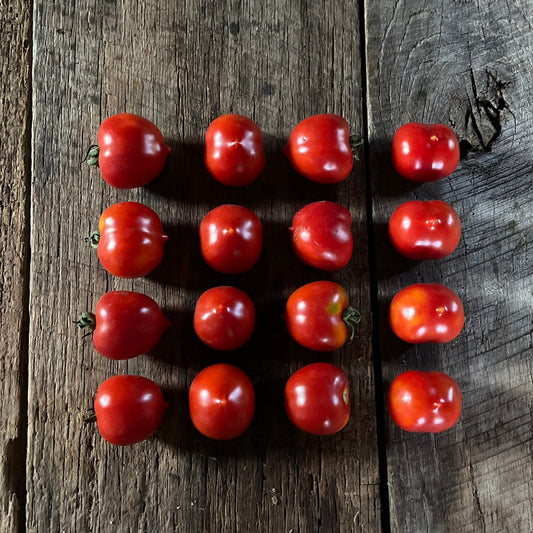 Tondo Con Pizzo Heirloom Tomato Seeds